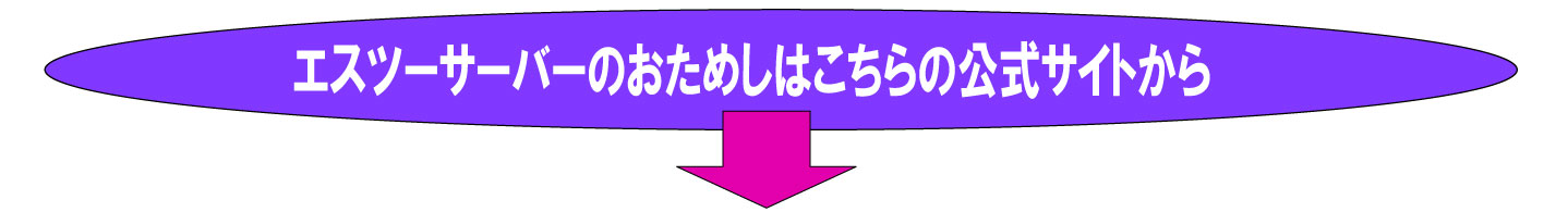 エスツーサーバーの公式サイトへの告知です