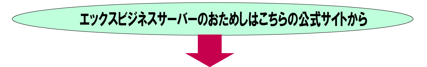 エックスビジネスのサーバーご案内